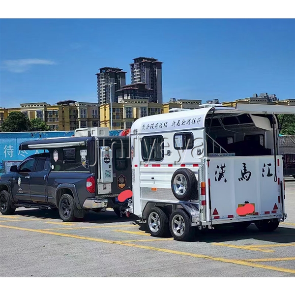 长沙两马位马车